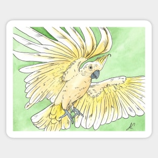 watercolor flying sulphur crested cockatoo hug with lineart Sticker